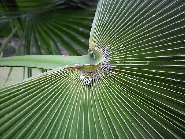 HPIM0337.JPG