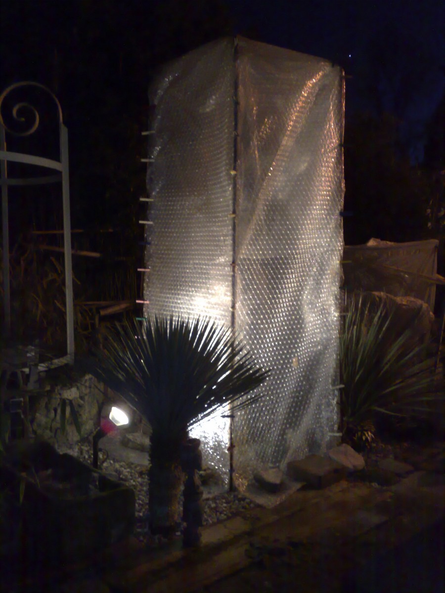 Macro de nuit.jpg