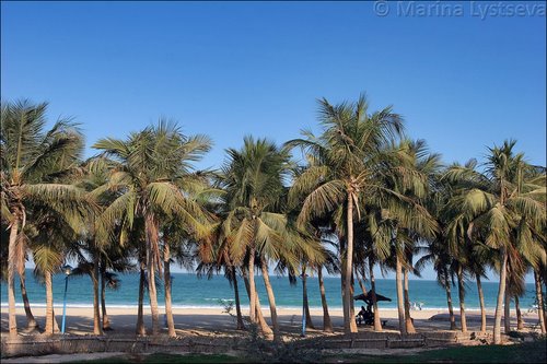 Dubai jumerah park beach 1
