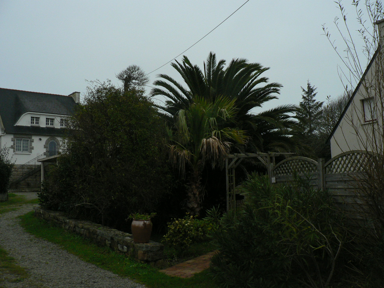 P1030283.JPG