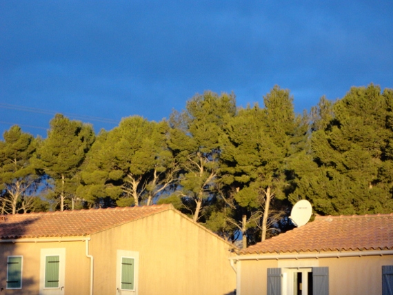 DSC00061 (570x428).jpg