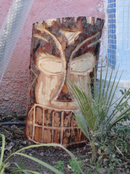 DSC00095 (428x570).jpg