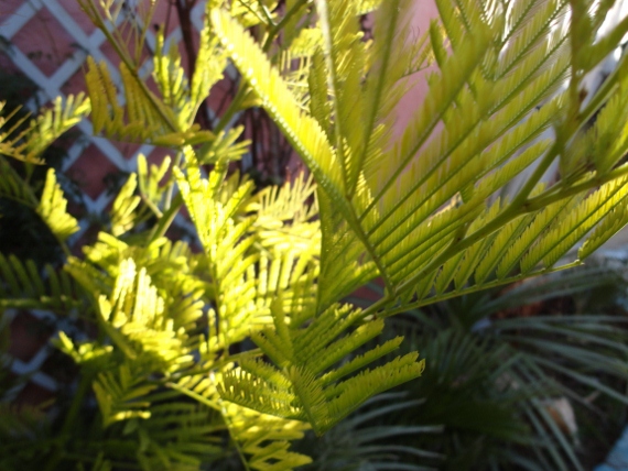 DSC00097 (570x428).jpg