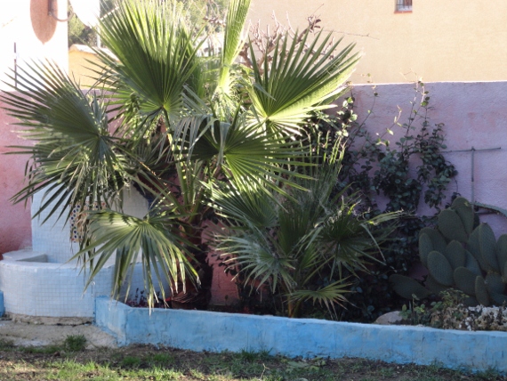 DSC00114 (570x428).jpg
