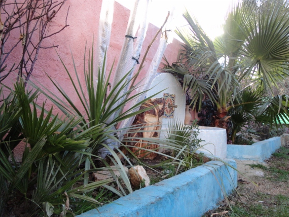 DSC00128 (570x428).jpg