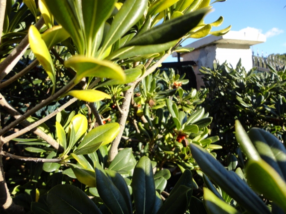 DSC00135 (570x428).jpg