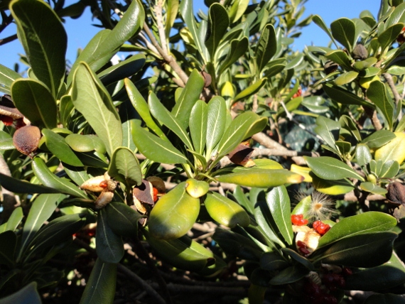 DSC00137 (570x428).jpg
