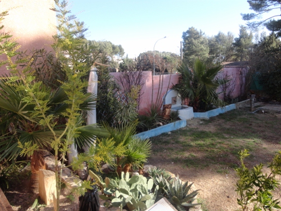 DSC00215 (570x428).jpg