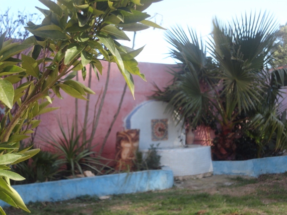 DSC00218 (570x428).jpg