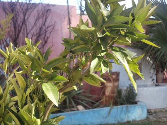 DSC00219 (570x428).jpg