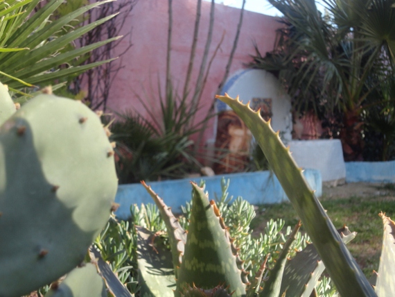 DSC00223 (570x428).jpg