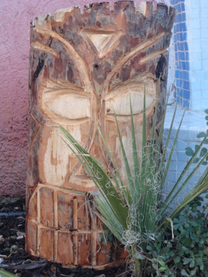DSC00226 (428x570).jpg
