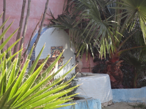 DSC00240 (570x428).jpg