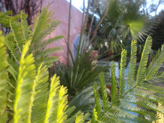 DSC00242 (570x428).jpg