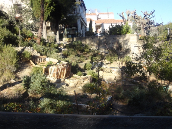 DSC00248 (570x428).jpg