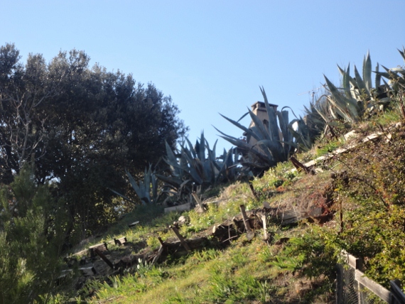 DSC00249 (570x428).jpg