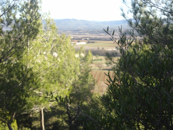 DSC00252 (570x428).jpg