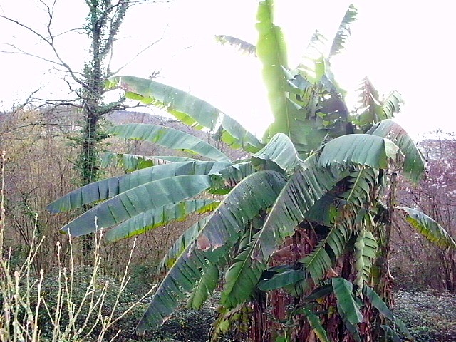 HPIM0344.JPG