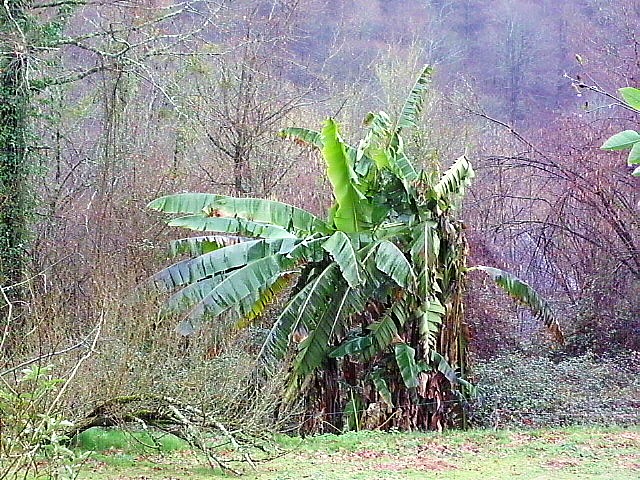 HPIM0364.JPG
