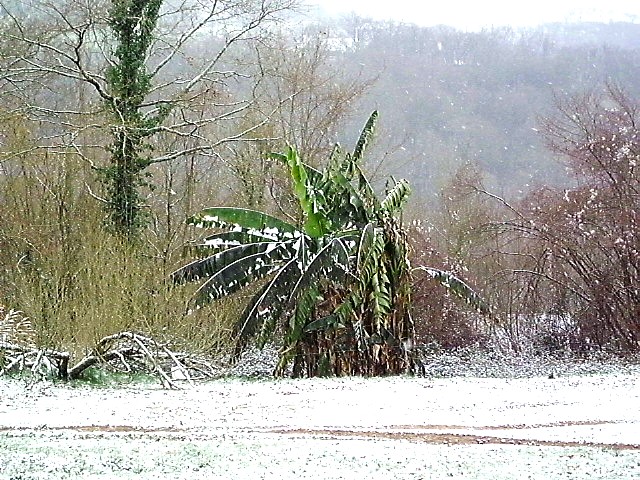HPIM0365.JPG