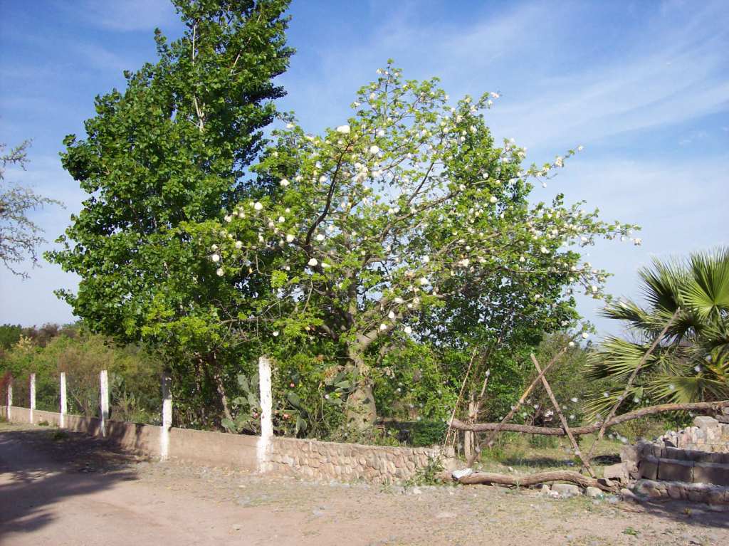 catamarca20.jpg