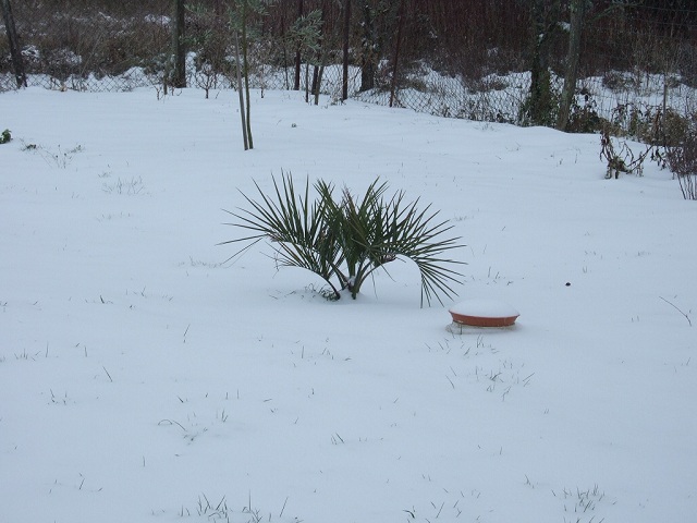 DSCF7601.JPG