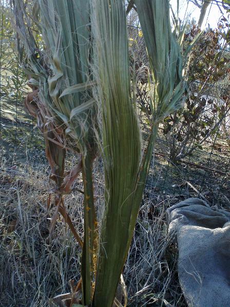 14022012047bis.jpg