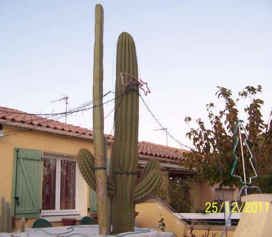 101_8362_PhotoRedukto.jpg