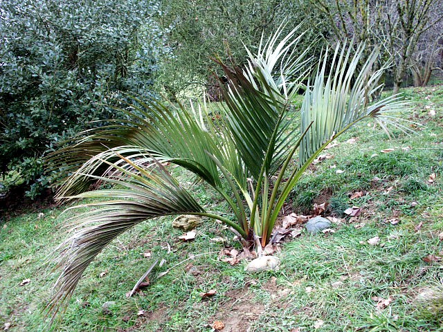 HPIM0386.JPG