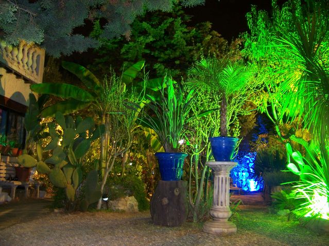 100_9817 [640x480].JPG