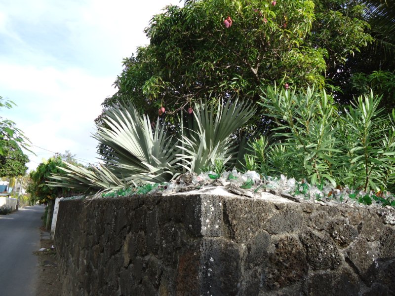 DSC00265.jpg