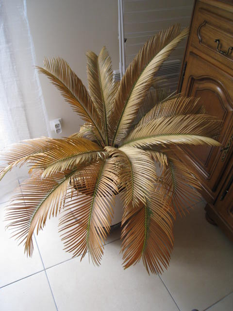 Photo prise aujourd'hui (le radiateur derrière n'est jamais mis en route)