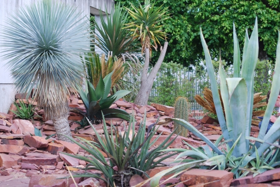 le-jardin-mediterraneen-2071341027-1447892.jpg