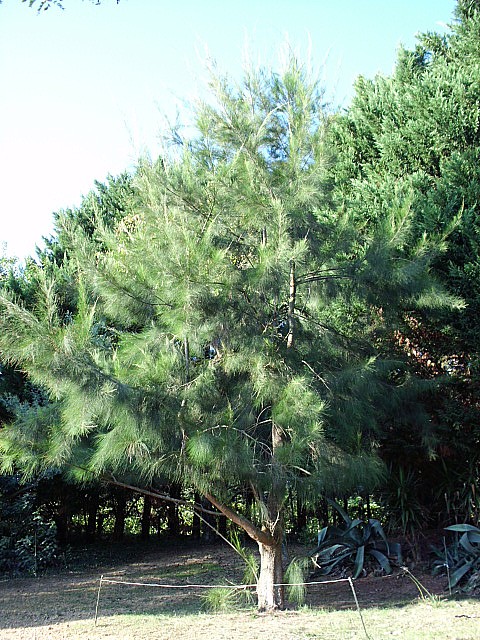 HPIM0179.JPG