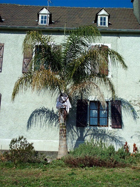 HPIM0379.JPG