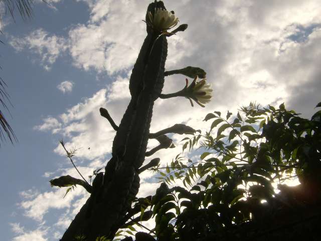 HPIM0181_PhotoRedukto.jpg