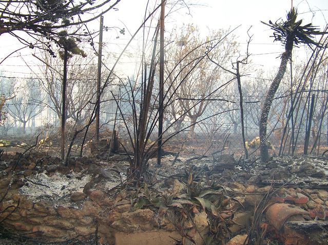 102_5433 [640x480].JPG