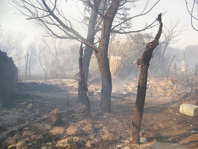 102_5458 [640x480].JPG