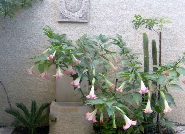 la fontaine