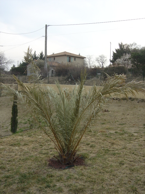 DSC07972.JPG