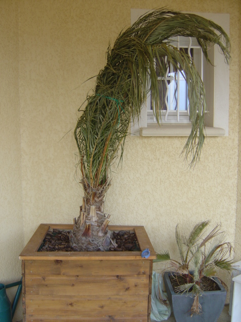 DSC07970.JPG