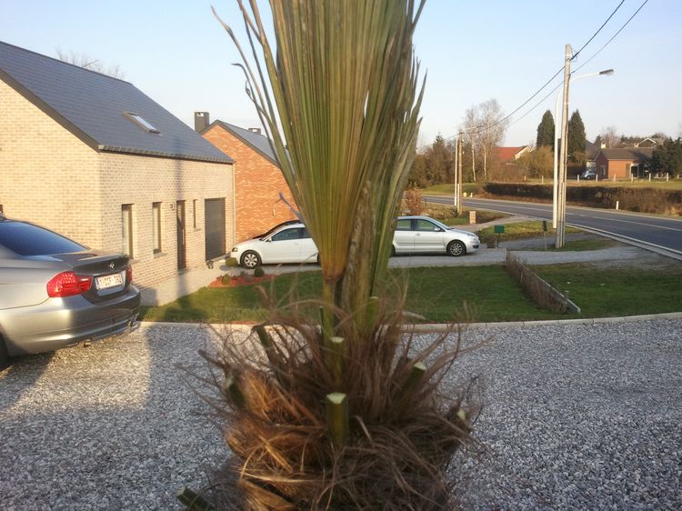 2012-03-11 17.30.39.jpg
