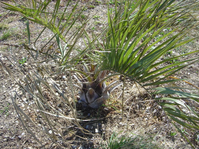 mars 2012 002.jpg