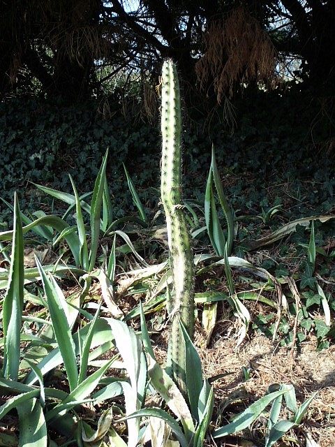 HPIM0495.JPG