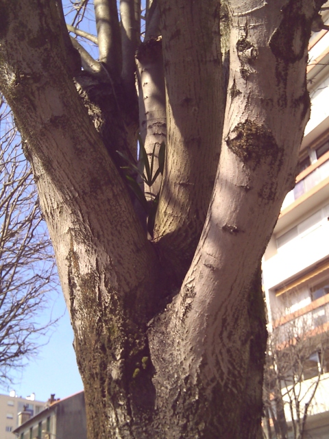 WP_000112.jpg