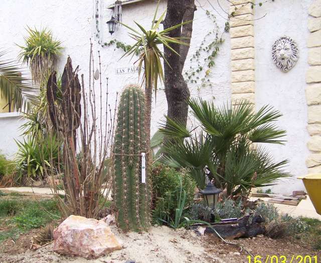 101_9018b_PhotoRedukto.jpg