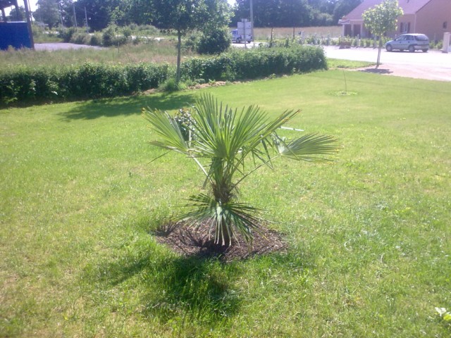 01062009177 [].jpg