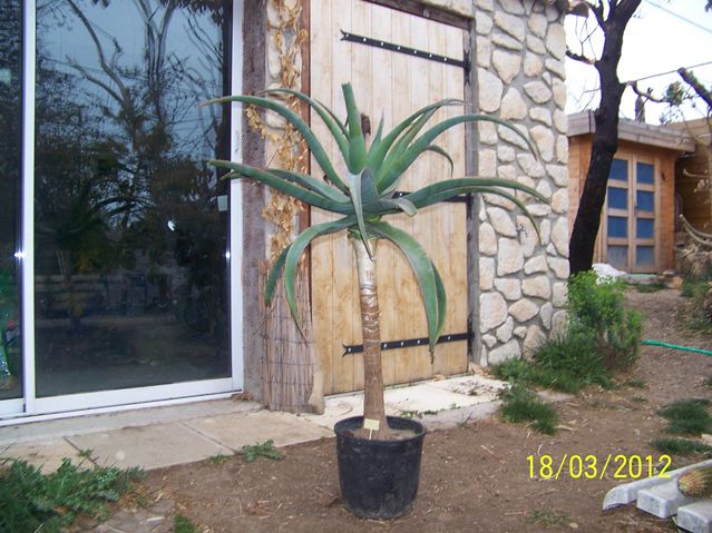 101_9058 [640x480].JPG