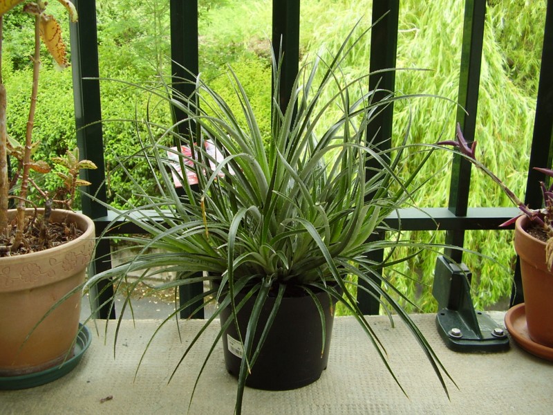001.06 juin 2011.JPG