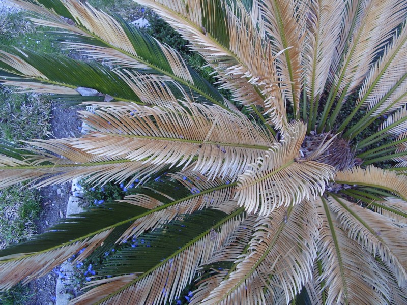050.14 mars 2012.JPG